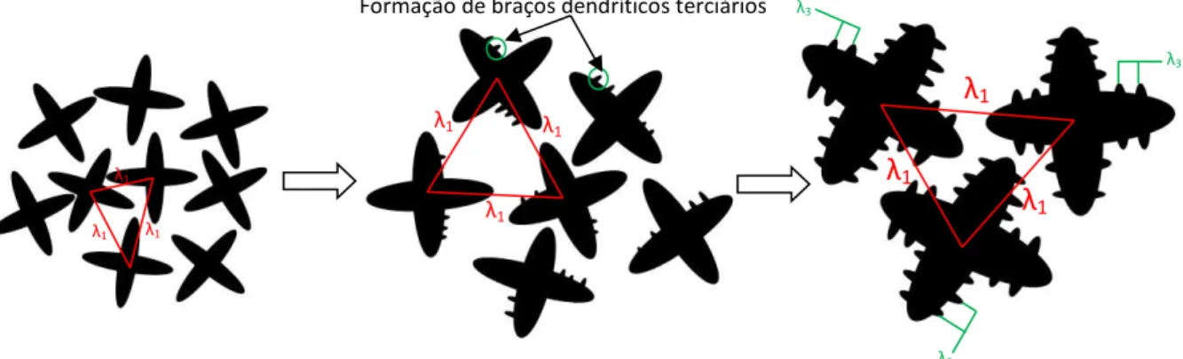 Figura 1: Representação esquemática evidenciando a presença e evolução de braços dendríticos terciários