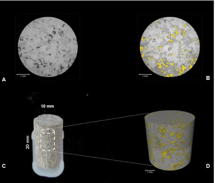 Figura 4 – IL (Indiana Limestone). A – Corte 2D da imagem de MRX reconstruída. B – Segmentação 2D  (amarelo)