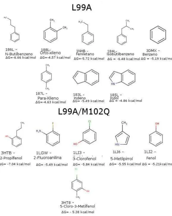 Figura 7 - Ligantes dos mutantes da lisozima T4 e suas respectivas energias livres.  