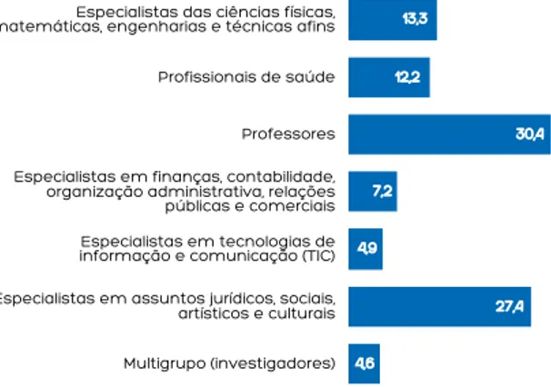 GRÁFICO 13 - ESPECIALISTAS DAS ATIVIDADES INTELECTUAIS  E CIENTÍFICAS POR SUB-GRUPO