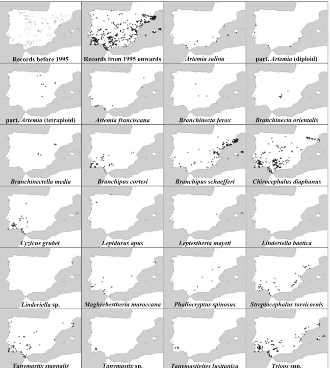 Fig. 1 Distribution maps of all records of large branchiopods before 1995, of all records from 1995 onwards, and of the different large branchiopod taxa present in Iberian Peninsula and Balearic Islands from 1995 onwards