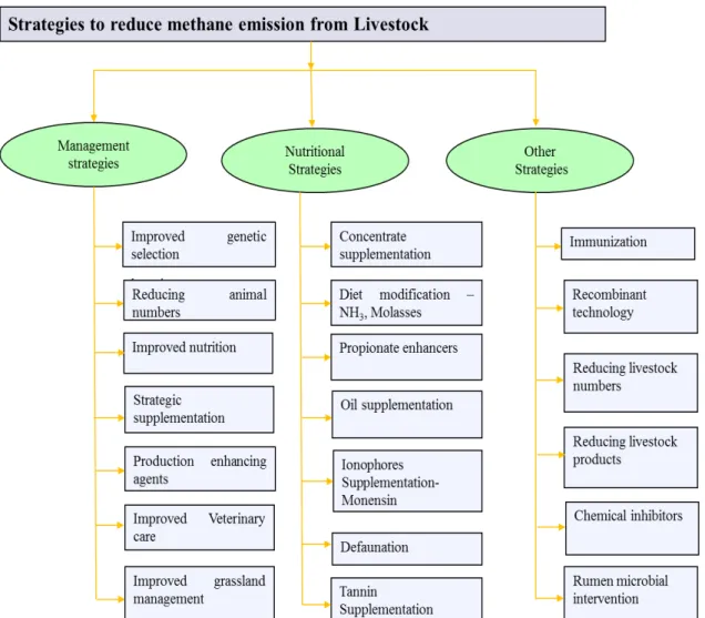 Figure 2.1. Strategies to reduce methane emission from livestock. (Source: SEJIAN et al., 2011) 