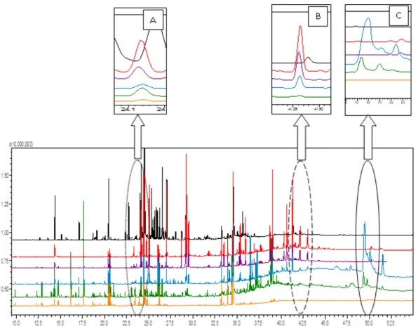 Figure 4.1 Gas chromatogram of different constituents present in fractionation of methanol extracts of  Leucaena leucocephala
