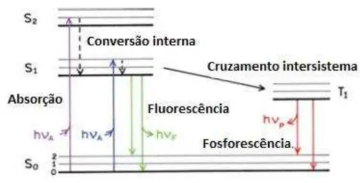 FIGURA 2.4. Processo de absorção e emissão da luz no diagrama de Jablonski. 