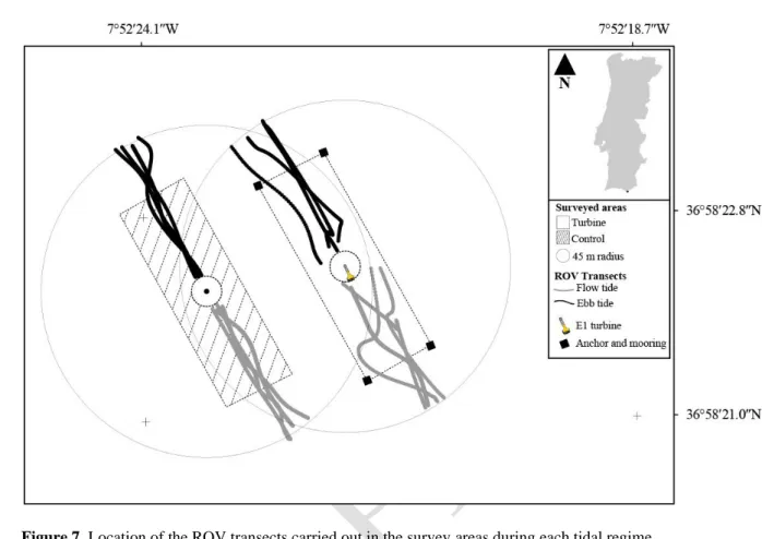 Figure 7. Location of the ROV transects carried out in the survey areas during each tidal regime