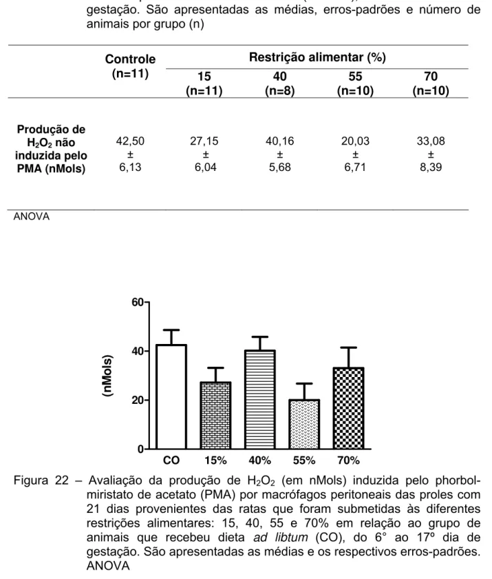 Figura 22 – Avaliação da produção de H 2 O 2  (em nMols) induzida pelo phorbol- phorbol-miristato de acetato (PMA) por macrófagos peritoneais das proles com  21 dias provenientes das ratas que foram submetidas às diferentes  restrições alimentares: 15, 40,