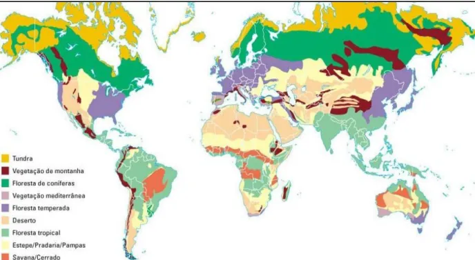 Figura 1: Mapa dos biomas do mundo   Fonte: Site Coordenada Ativa, 2012. 