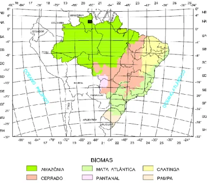 Figura 2: Biomas brasileiros 