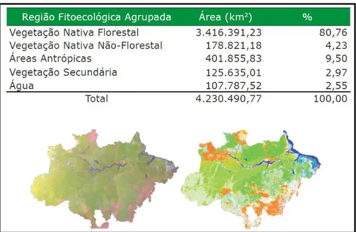 Figura 3: Bioma Amazônia por Região Fitoecológica Agrupada  Fonte: MMA, 2010. Mapas da Cobertura Vegetal – Brasil 