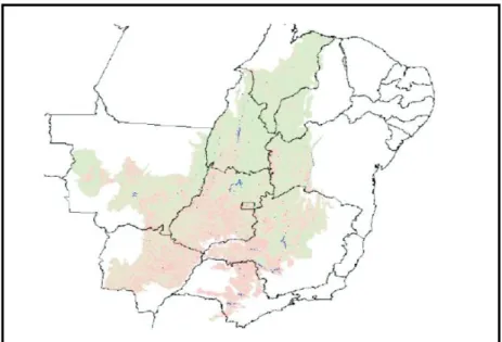 Tabela 4: Bioma Pampa por Região Fitoecológica Agrupada 