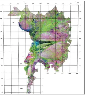 Figura 8: Carta-imagem do mosaico final do bioma Pantanal   Fonte: MMA, 2010. Mapas da Cobertura Vegetal – Brasil.