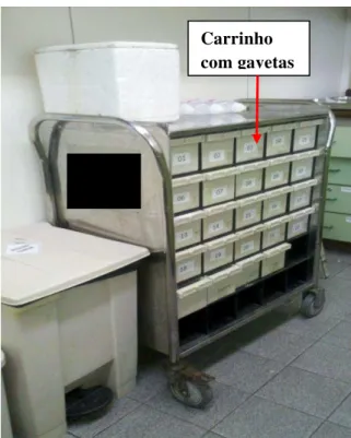 Figura 2. Carrinho de medicações com gavetas numeradas