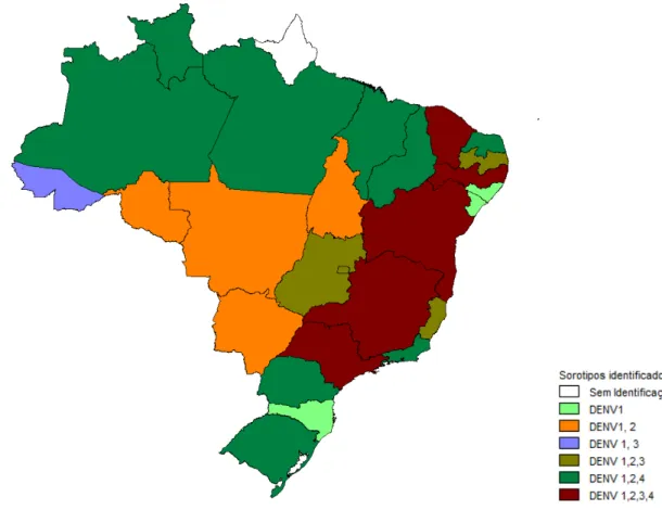Figura 2. Sorotipos de dengue isolados no Brasil por UF, janeiro a agosto 2011 (SVS,2011) 