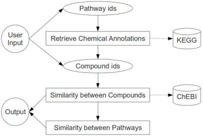 Figure 3: The user gives a pair of pathways or compounds as input, and after a series of steps where the KEGG and ChEBI databases are used, a result for