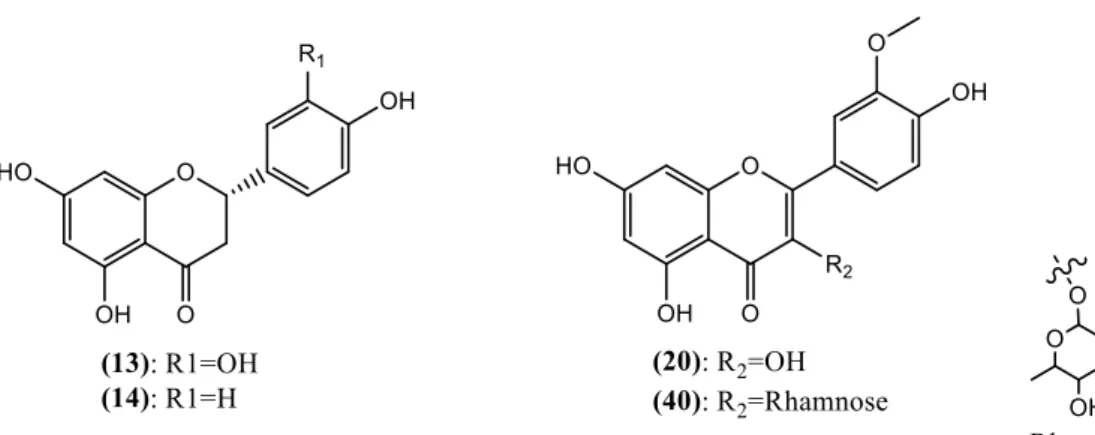 Figure 1.2 - Flavonoids identified as cork constituents. 