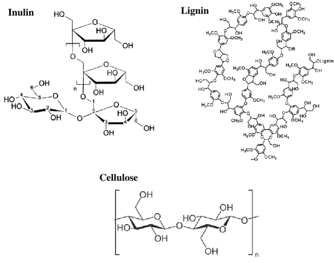 Figure 1.2 - Representative compounds present in the artichoke: inulin, lignin and cellulose.