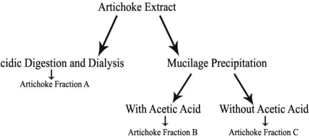 Figure 4.2 - Scheme of the purification strategies adopted to purify the artichoke extract.
