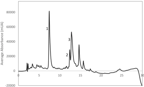 Figure 4.7 – Example of chromatogram of artichoke infusion (1mg/mL). 