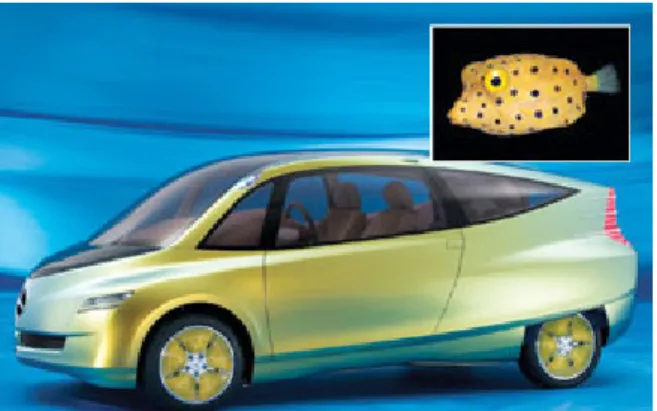 Figura 8 – Bionic Car da Mercedes-Benz e peixe-cofre Fonte: (SHARFMAN, 2006)