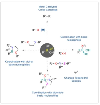 Figure 2 – General reactivity of Boronic acids 