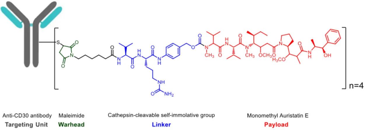 Figure 3 – Structure and functional components of the FDA-approved ADC Brentuximab  Vedotin 