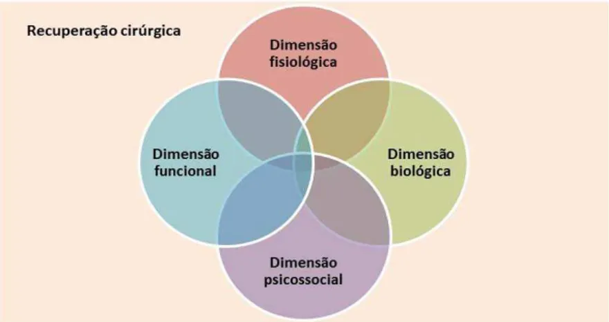 Figura 1. Dimensões da recuperação cirúrgica. Fonte: EDUARDO, A.H.A.; CARVALHO,  E.C.; NAPOLEÃO, A.A
