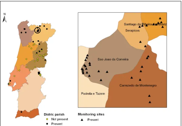 Figure 3 - Geographic distribution of chestnut blight - Valpaços detail   (in Trás-os-Montes e Alto Douro)