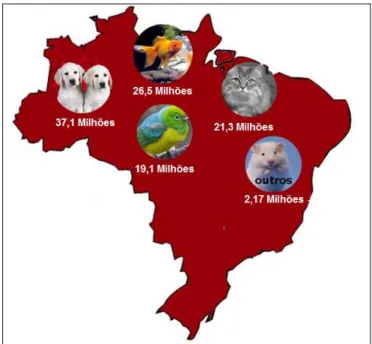 Figura  1.1  –  População,  em  números  estimados,  de  animais  de  companhia no Brasil