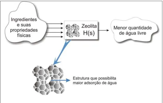 Figura 1.9 – Representação esquemática do modelo de ação da zeolita. 