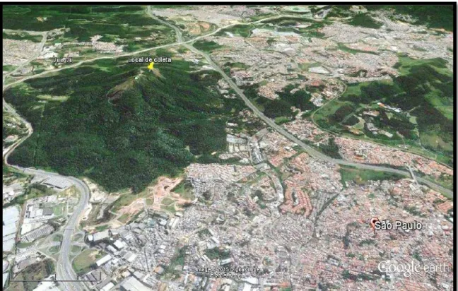 Figura 2. Mapa indicando o local de coleta no Pico do Jaraguá. 
