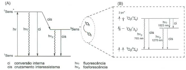 Figura 2: (A) Esquema mostrando os processos eletrônicos envolvidos na desativação dos estados excitados de um sensibilizador