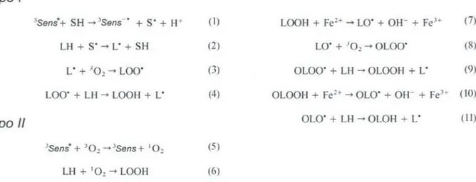 Figura 4: Esquemamostrandoalgumasdas possíveisreaçõesenvolvidasnos processos de oxidação dependentes (à esquerda) e independentes(à direita) de luz.