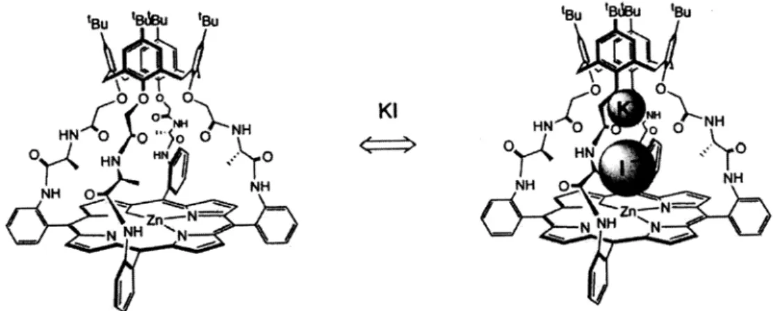Fig. 5: Um receptor duplo, para cátions e ânions35. O resíduo amida pode ligar cátions enquanto que a zinco porfirina pode coordenar ânions.