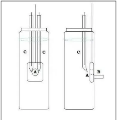 Figura 19. Diagrama da cela magnetoeletroquímica  α   utilizada nos experimentos de  sensoriamento, onde observa- se (a)Eletrodo de Pt (b) Suporte do ímã (c) Eletrodos auxiliar e  