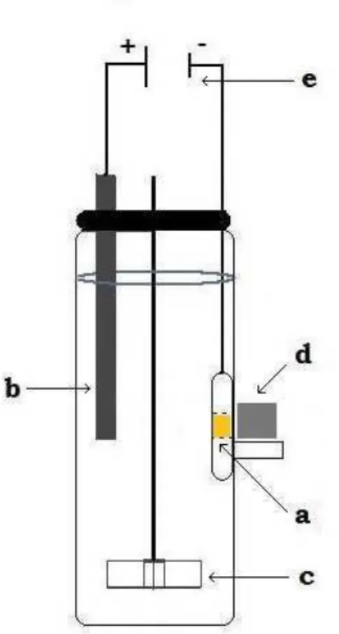Figura 20. Célula magnetoeletroquímica  β   utilizada nos trabalhos de nanohidrometalurgia magnética