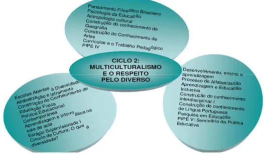 Figura 5.2 - Ciclo 2: multiculturalismo e o respeito pelo diverso (UFU, 2007) 