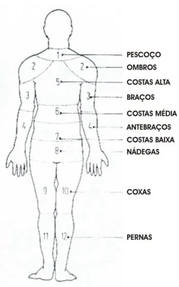 Figura 3.1 – Técnica para avaliação do desconforto postural – regiões do corpo                       descritas por Corlett e Bishop (1976) 