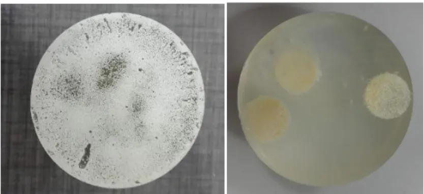 Figure 18 - Epoxy formers with granules of calcium phosphates, on the left and with scaffolds on the right
