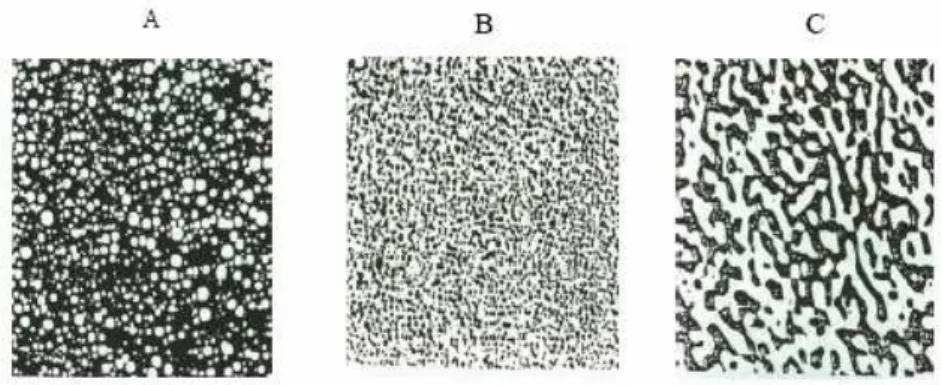 Figura 2.4 - Observação de estruturas de asfalto modificado com diferentes teores de SBS no  microscópio de reflexão de fluorescência