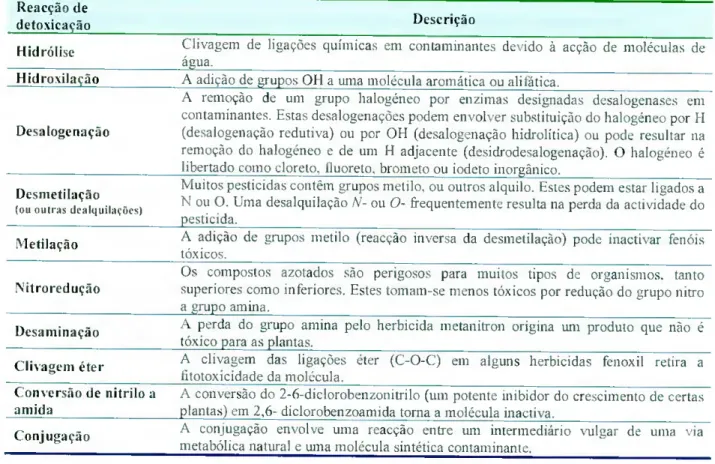 Tabela 2: Principais reacções de dctoxicação (adaptado de Alexander. 1999).  Reacção de  detoxicação  Descrição  Hidrólise  Hidroxilação  Desalogenação  Desmetilação  (ou outras dcalquilaçõcs)  Mctilação 