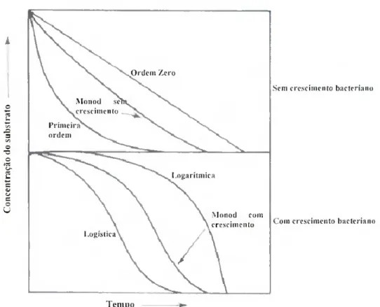 Fig. 14- Curvas cinéticas de degradação de substâncias metabolizadas por bactérias (adaptado de  Alexander, 1999)