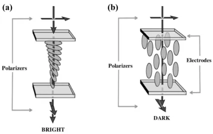 Figure 1.4: The twisted nematic display. (a) The transmissive or bright state. The configuration of the nematic in between the two glass plates is twisted