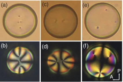 Figure 1.5: Three types of thin nematic shells commonly observed, distinguished by the number and type of defects: (a), (b) four defects; (c), (d) two defects; (e), (f), three defects