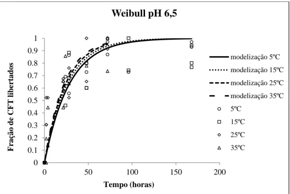 Figura 3.17 – Fração de CFT libertados ao longo do tempo em solução de pH 6,5 e  modelização de Weibull