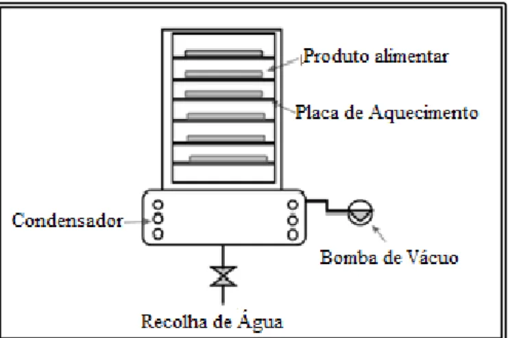 Figura 1.13. Esquema de microencapsulação por liofilização (Fang &amp; Bhandari,  2012)