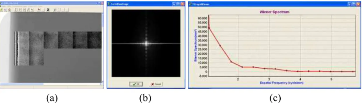 Figura 6.10 - Software para cálculo do espectro de Wiener (Vieira et al, 2003) em funcionamento: a)  Recorte das amostras quadradas N x N (N = 128) a partir de uma imagem uniforme para o cálculo 