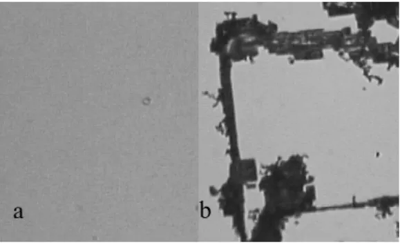 Figura 3.3. Imagem de microscopia óptica representativa dos resultados obtidos nas  amostras recozidas em ambiente de H 2  comum, 2h a 1150 o C (b) comparado a uma não  recozida (a)