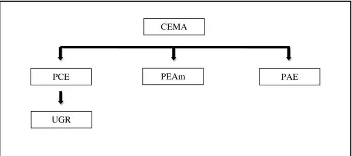 Figura 9  - Programas Ambientais da UFSCar