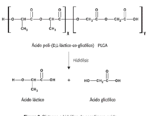 Figura 8. Sínteses e hidrólise do copolímero acido  poli (D,L láctico-co-glicólico), PLGA.