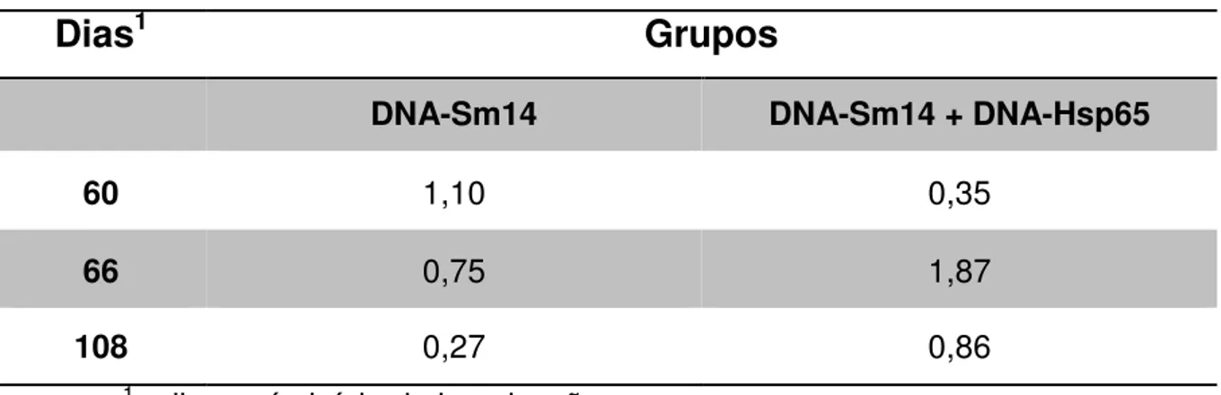 Tabela 4. Razão IgG1/IgG2a anti-Sm14 nos diferentes dias após imunização com DNA-Sm14 ou  DNA-Sm14 + DNA-Hsp65 